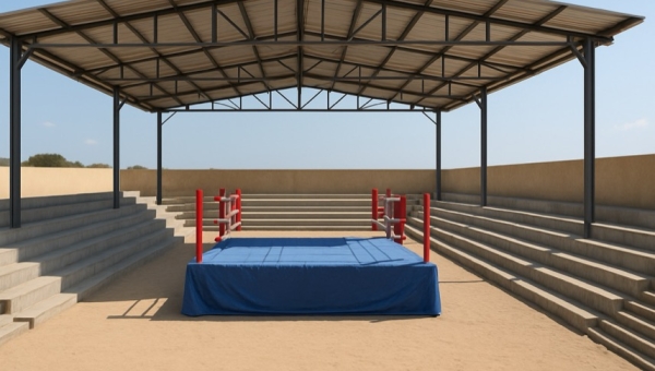 So werden eine Halbe Million Euro an EU-Gelder in Wrestling-Projekte in Gambia eingesetzt
